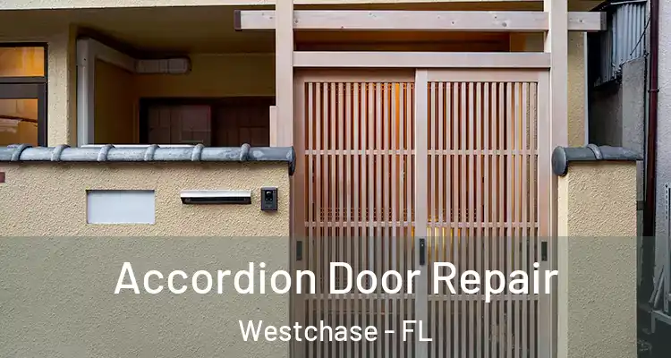 Accordion Door Repair Westchase - FL