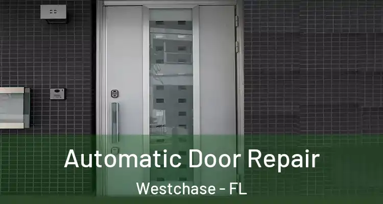 Automatic Door Repair Westchase - FL