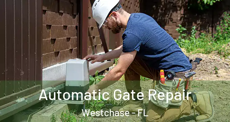 Automatic Gate Repair Westchase - FL