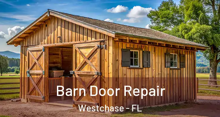 Barn Door Repair Westchase - FL