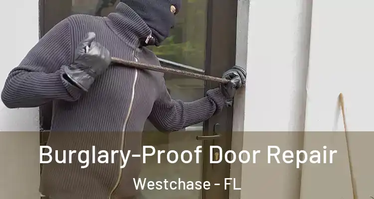 Burglary-Proof Door Repair Westchase - FL
