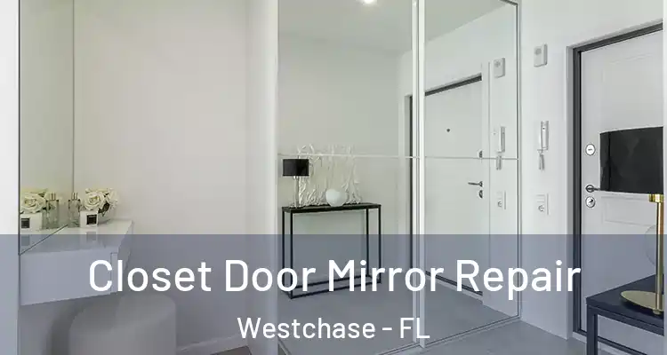Closet Door Mirror Repair Westchase - FL