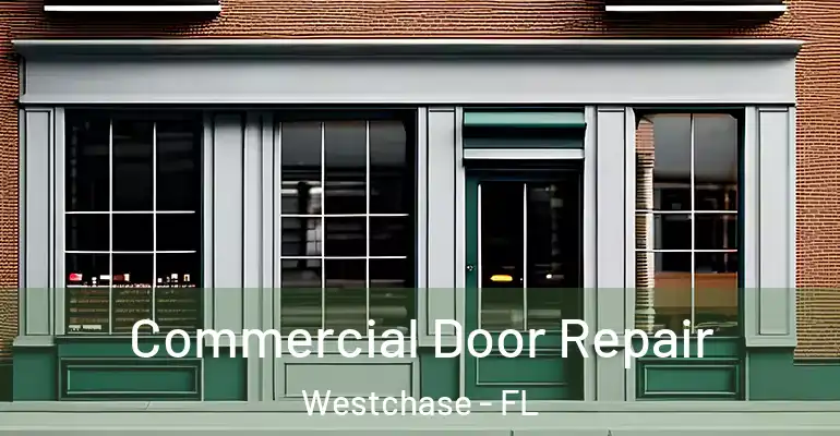 Commercial Door Repair Westchase - FL