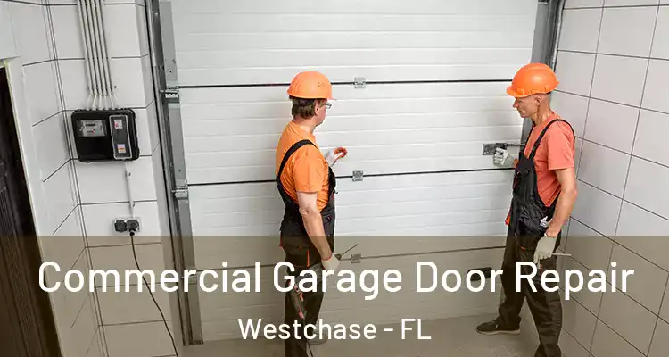 Commercial Garage Door Repair Westchase - FL