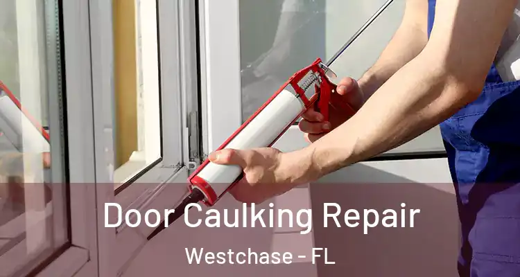 Door Caulking Repair Westchase - FL