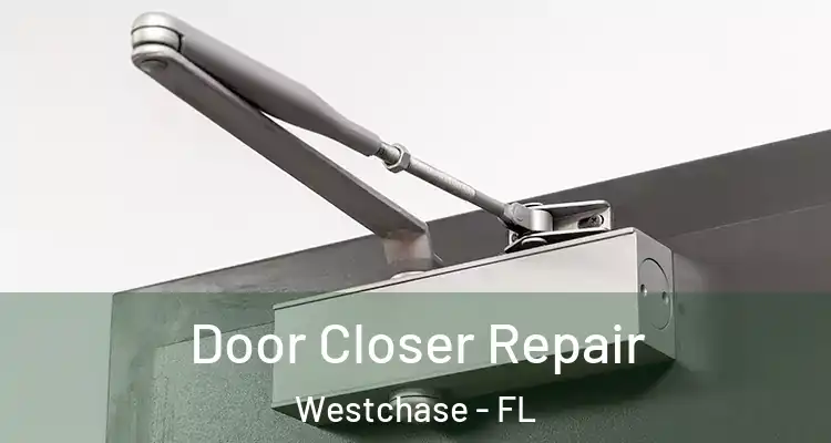 Door Closer Repair Westchase - FL
