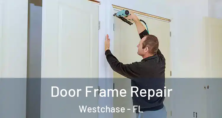 Door Frame Repair Westchase - FL