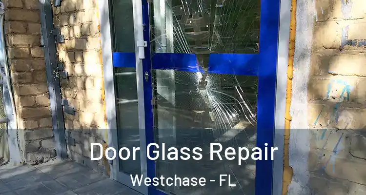 Door Glass Repair Westchase - FL