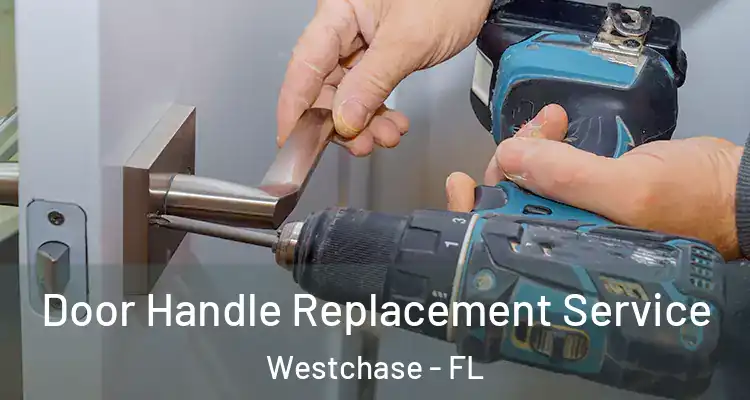 Door Handle Replacement Service Westchase - FL