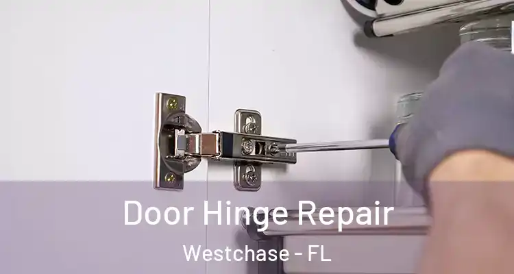 Door Hinge Repair Westchase - FL