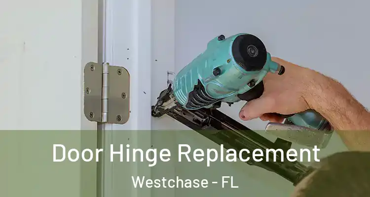 Door Hinge Replacement Westchase - FL