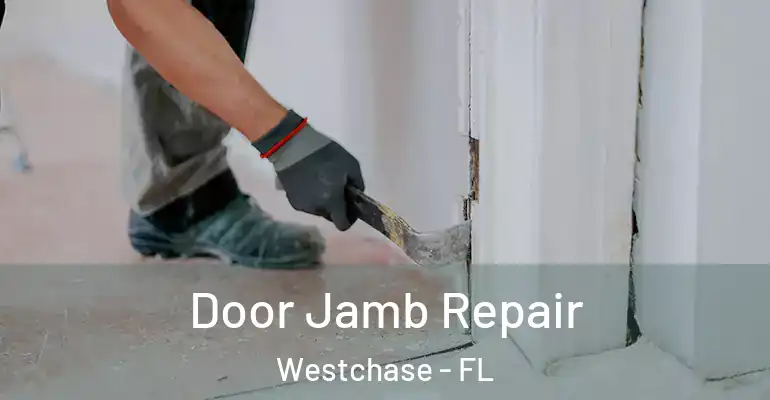 Door Jamb Repair Westchase - FL