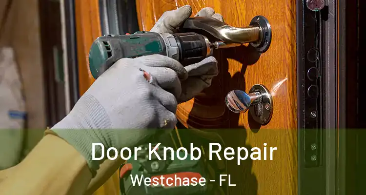 Door Knob Repair Westchase - FL
