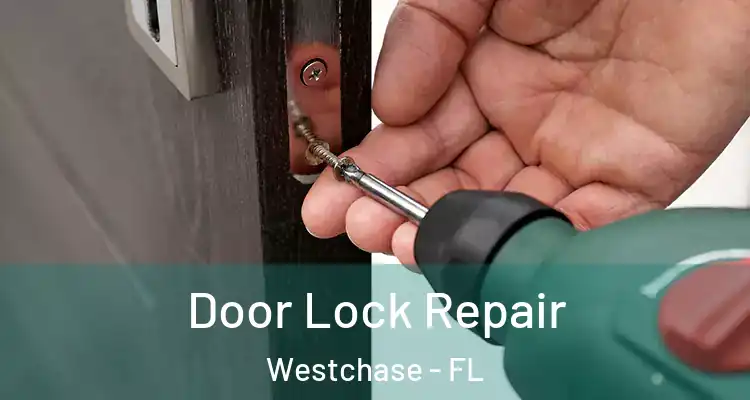 Door Lock Repair Westchase - FL