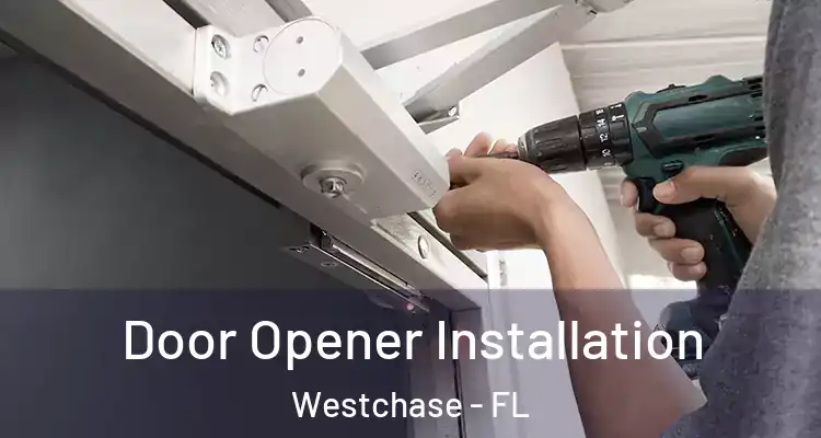Door Opener Installation Westchase - FL
