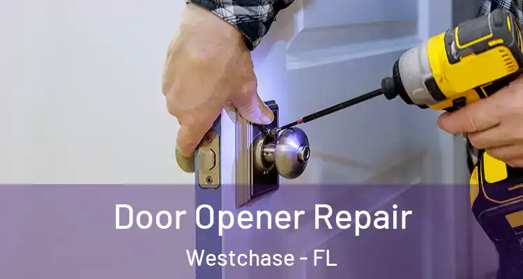 Door Opener Repair Westchase - FL