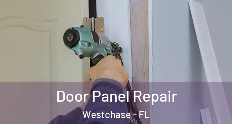 Door Panel Repair Westchase - FL