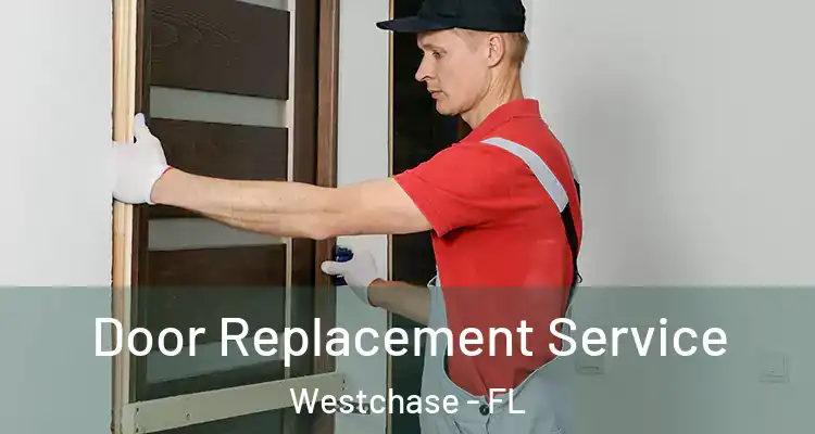 Door Replacement Service Westchase - FL