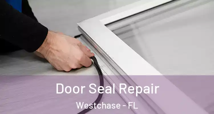 Door Seal Repair Westchase - FL