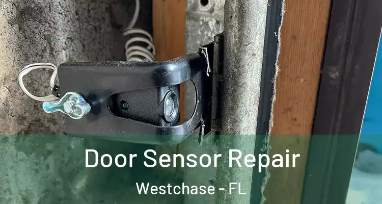 Door Sensor Repair Westchase - FL