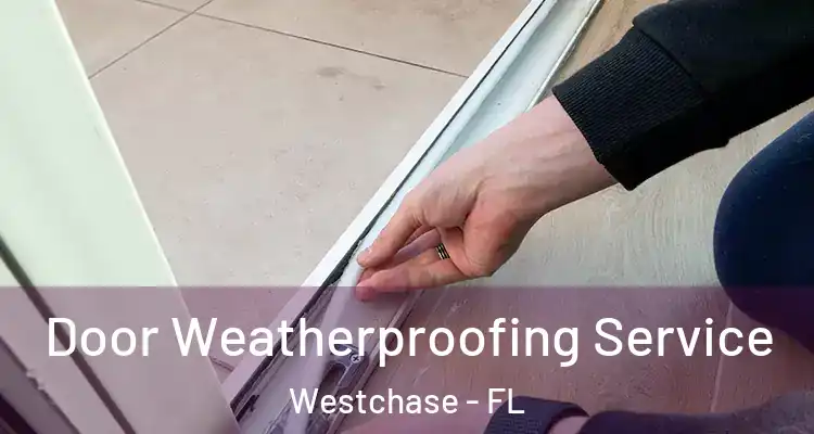 Door Weatherproofing Service Westchase - FL