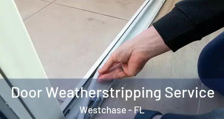 Door Weatherstripping Service Westchase - FL