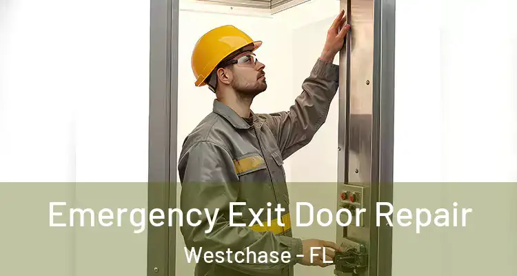 Emergency Exit Door Repair Westchase - FL