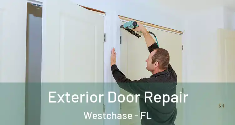 Exterior Door Repair Westchase - FL