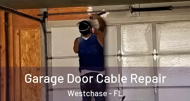 Garage Door Cable Repair Westchase - FL