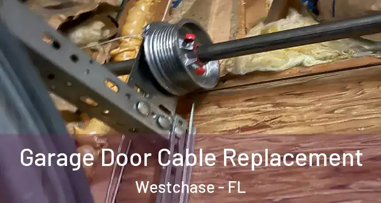 Garage Door Cable Replacement Westchase - FL