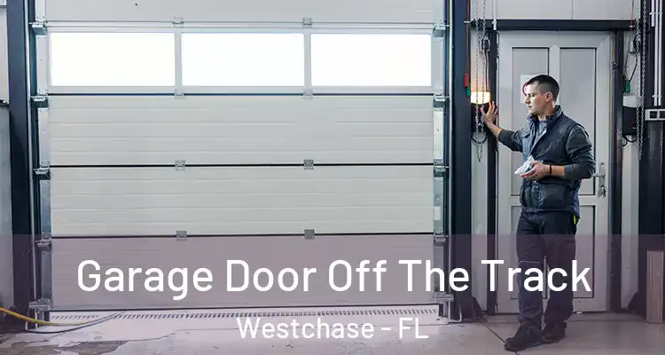 Garage Door Off The Track Westchase - FL