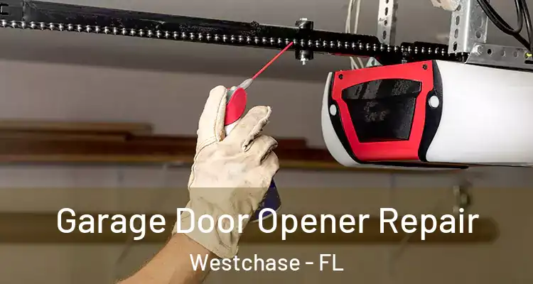Garage Door Opener Repair Westchase - FL