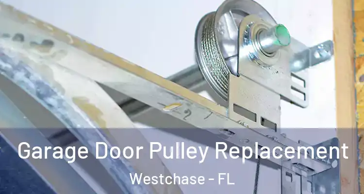 Garage Door Pulley Replacement Westchase - FL