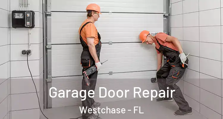 Garage Door Repair Westchase - FL