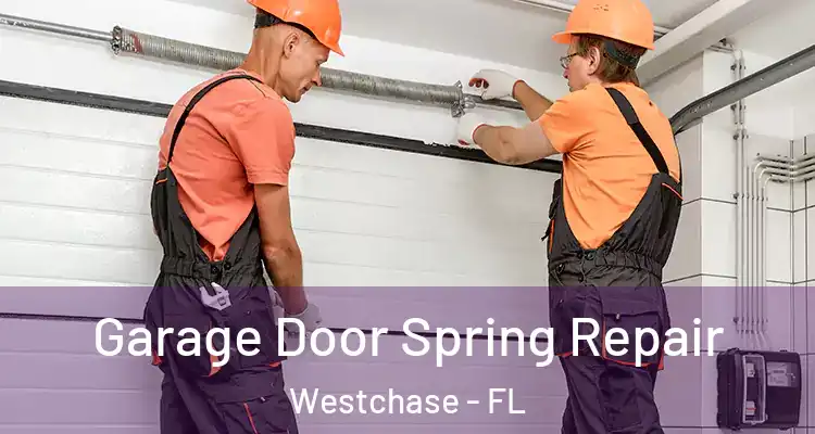 Garage Door Spring Repair Westchase - FL