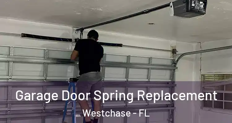 Garage Door Spring Replacement Westchase - FL