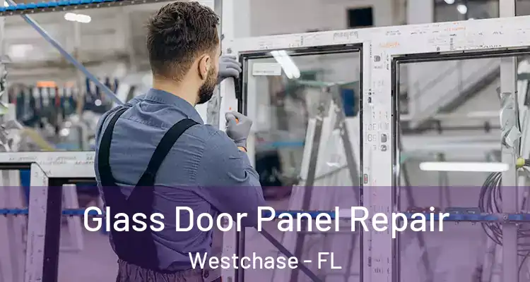 Glass Door Panel Repair Westchase - FL