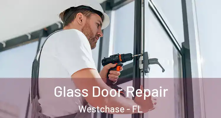 Glass Door Repair Westchase - FL