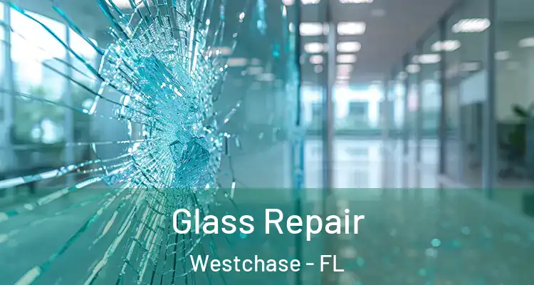 Glass Repair Westchase - FL