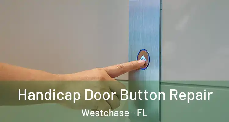 Handicap Door Button Repair Westchase - FL