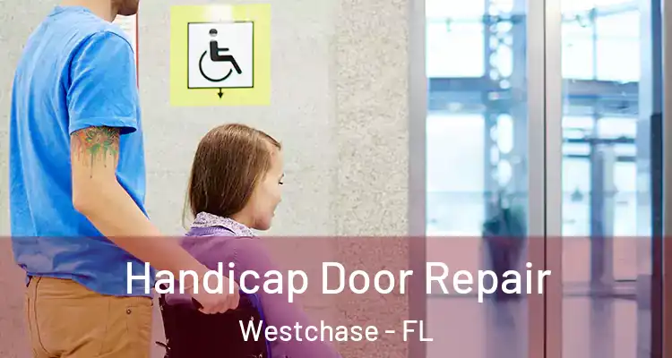 Handicap Door Repair Westchase - FL