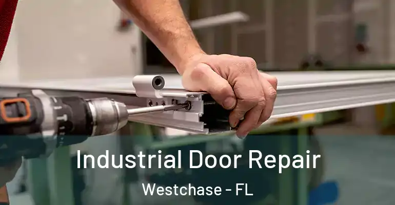 Industrial Door Repair Westchase - FL