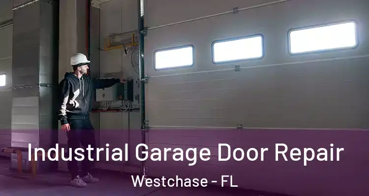 Industrial Garage Door Repair Westchase - FL