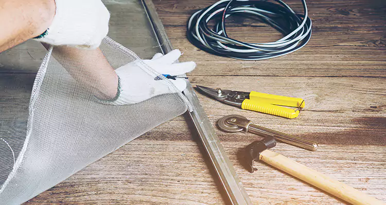 Our Pool Enclosure Mesh Repair Services in Westchase, FL