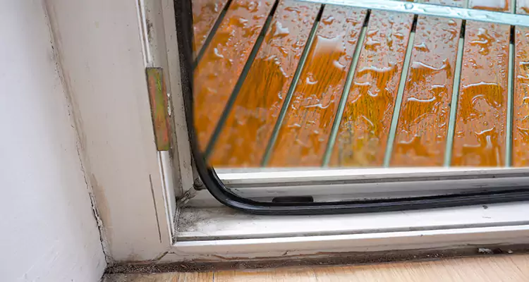 Water Leaking Wooden Patio Doors Repair in Westchase, FL