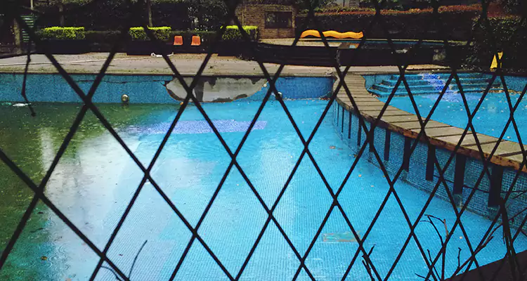 Lanai Screen Repair in Westchase, FL