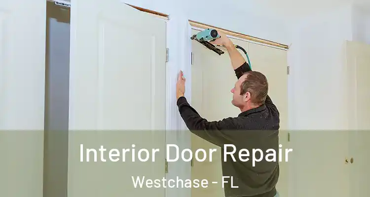 Interior Door Repair Westchase - FL