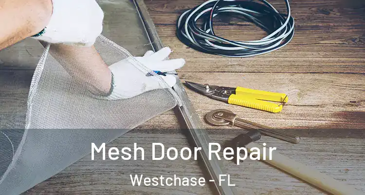Mesh Door Repair Westchase - FL