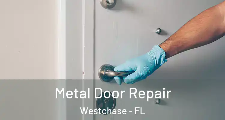 Metal Door Repair Westchase - FL