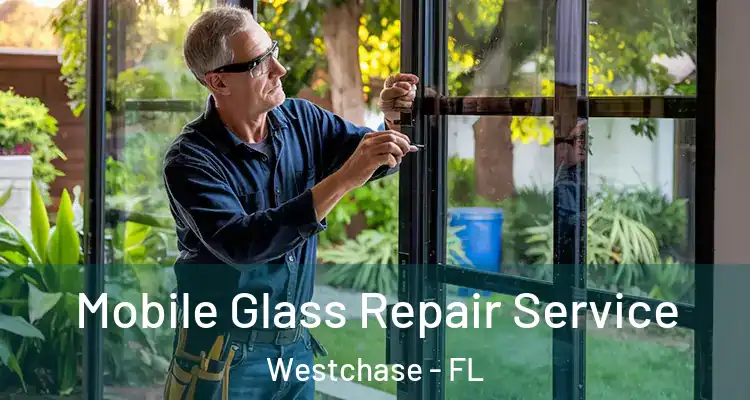 Mobile Glass Repair Service Westchase - FL